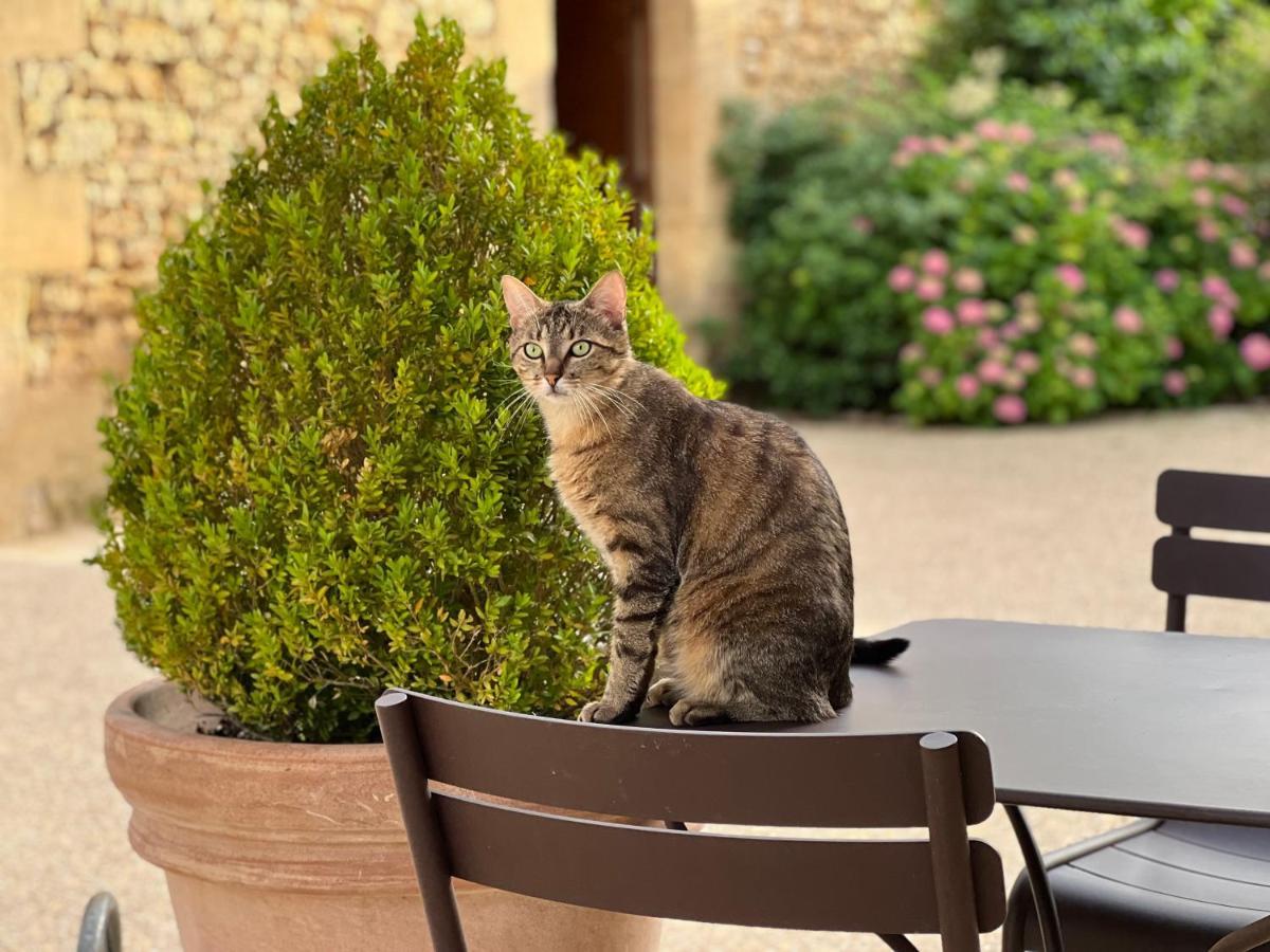 Hôtel La Villa Romaine Carsac-Aillac Esterno foto